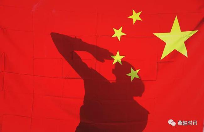 可爱小猫向上跳